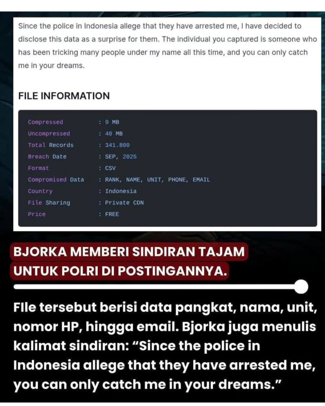 Bjorka sebarkan ribuan data polisi Indonesia di website
